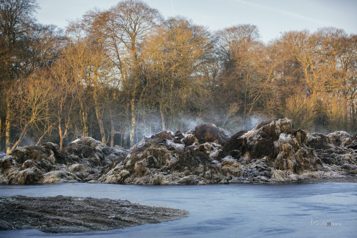 Steaming heap of dung
