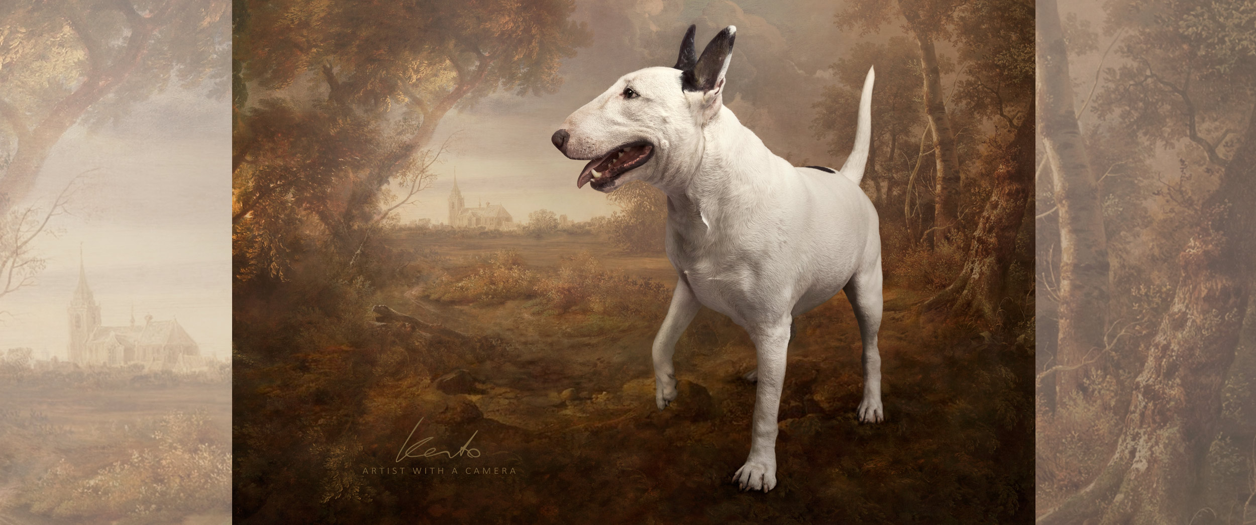 Fine art dog photography