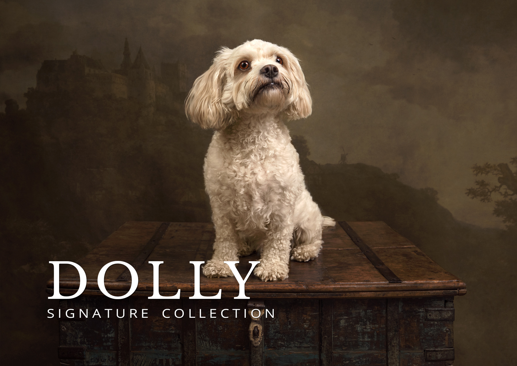 dolly before and after signature collection