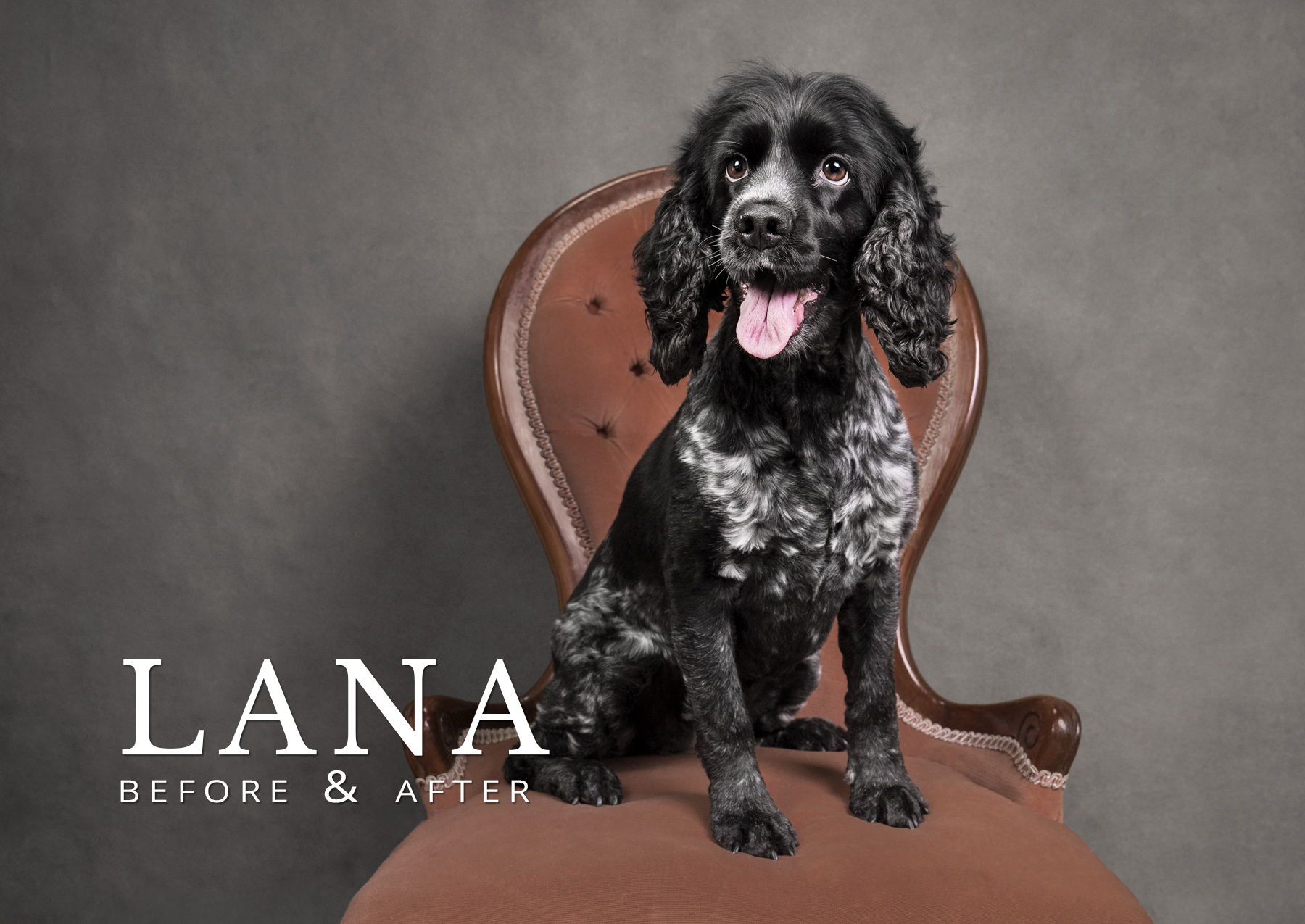 lana spaniel before and after