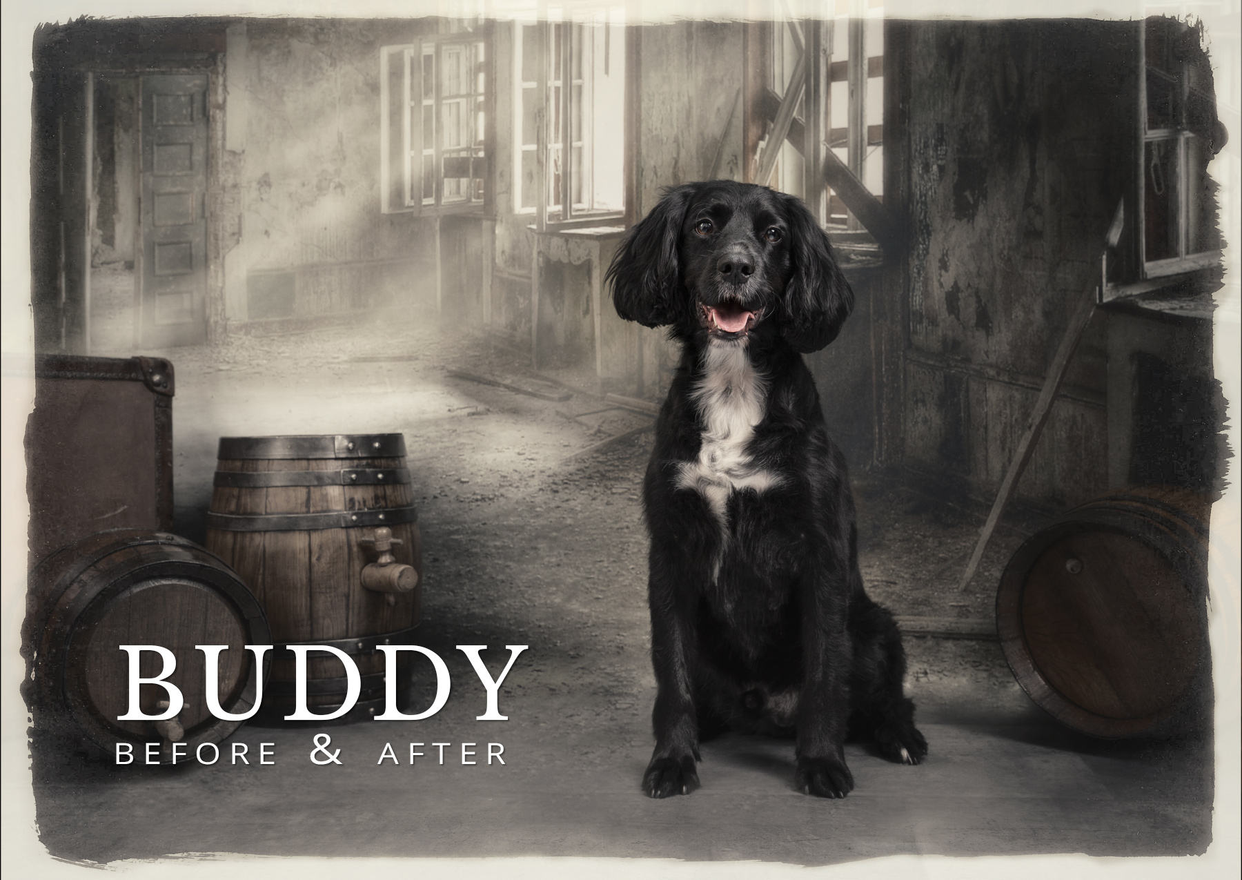 Buddy before and after