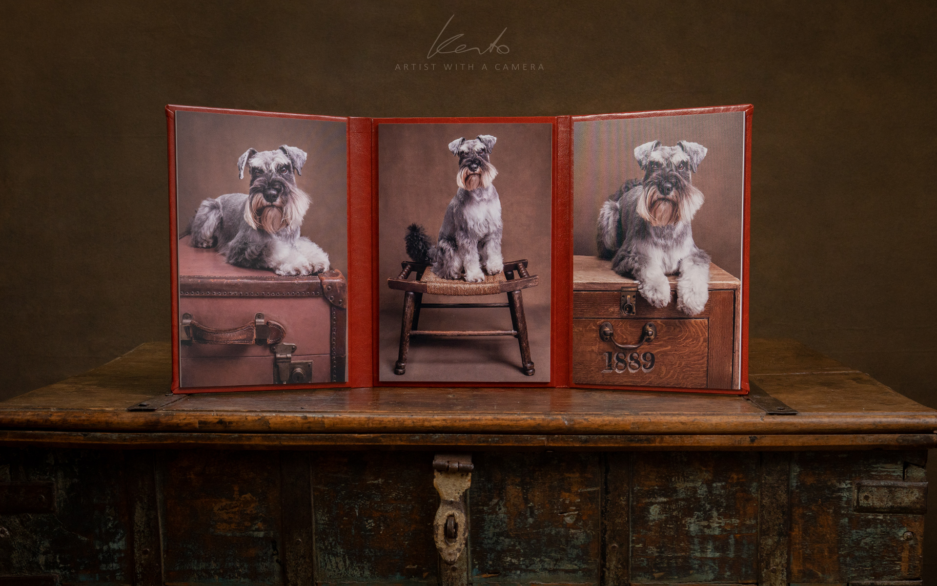 Kerto Studio products tri-fold miniature schnauzer