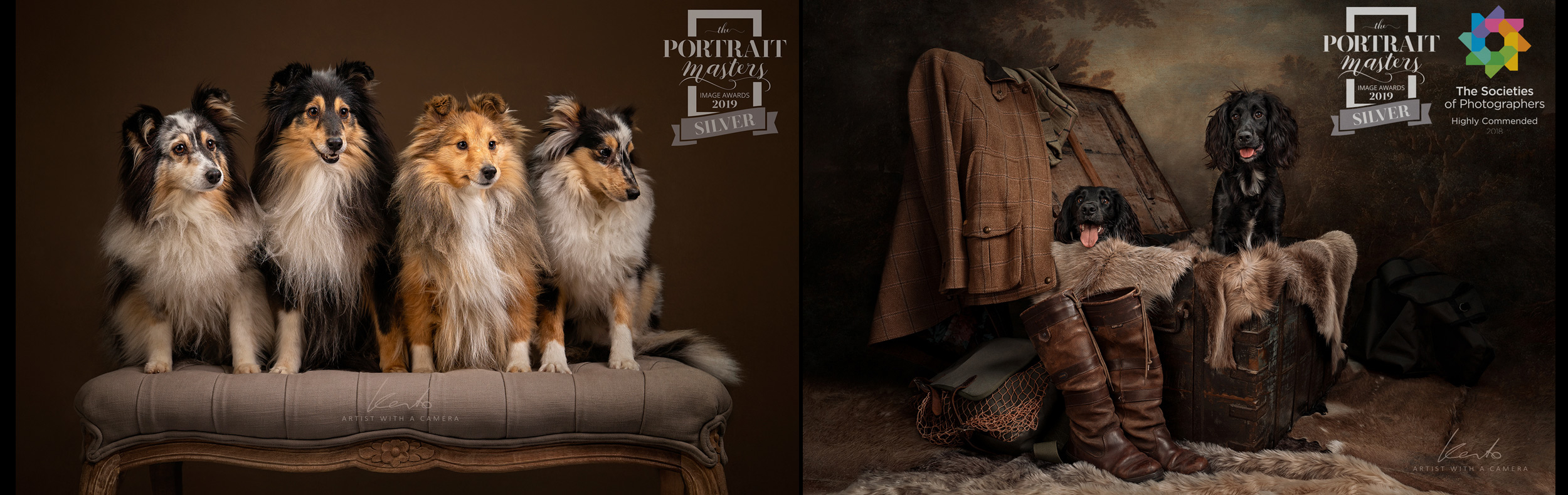 award-winning-pet-photographer-wokingham-berkshire