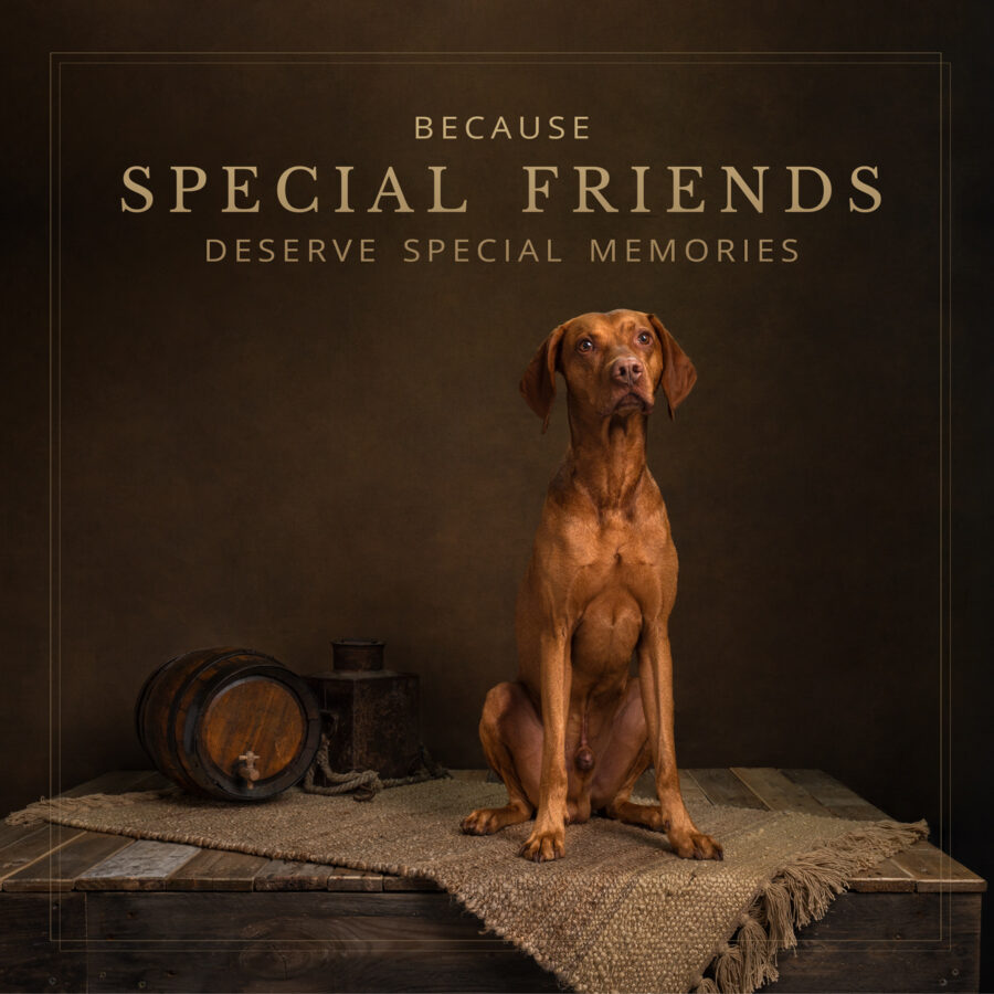gifts for pet lovers