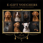 e-gift-vouchers1