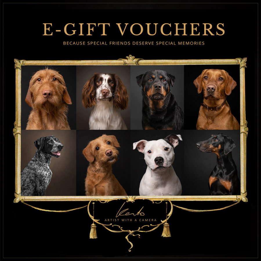 e-gift-vouchers1