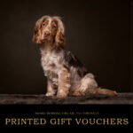 printed-gift-vouchers1