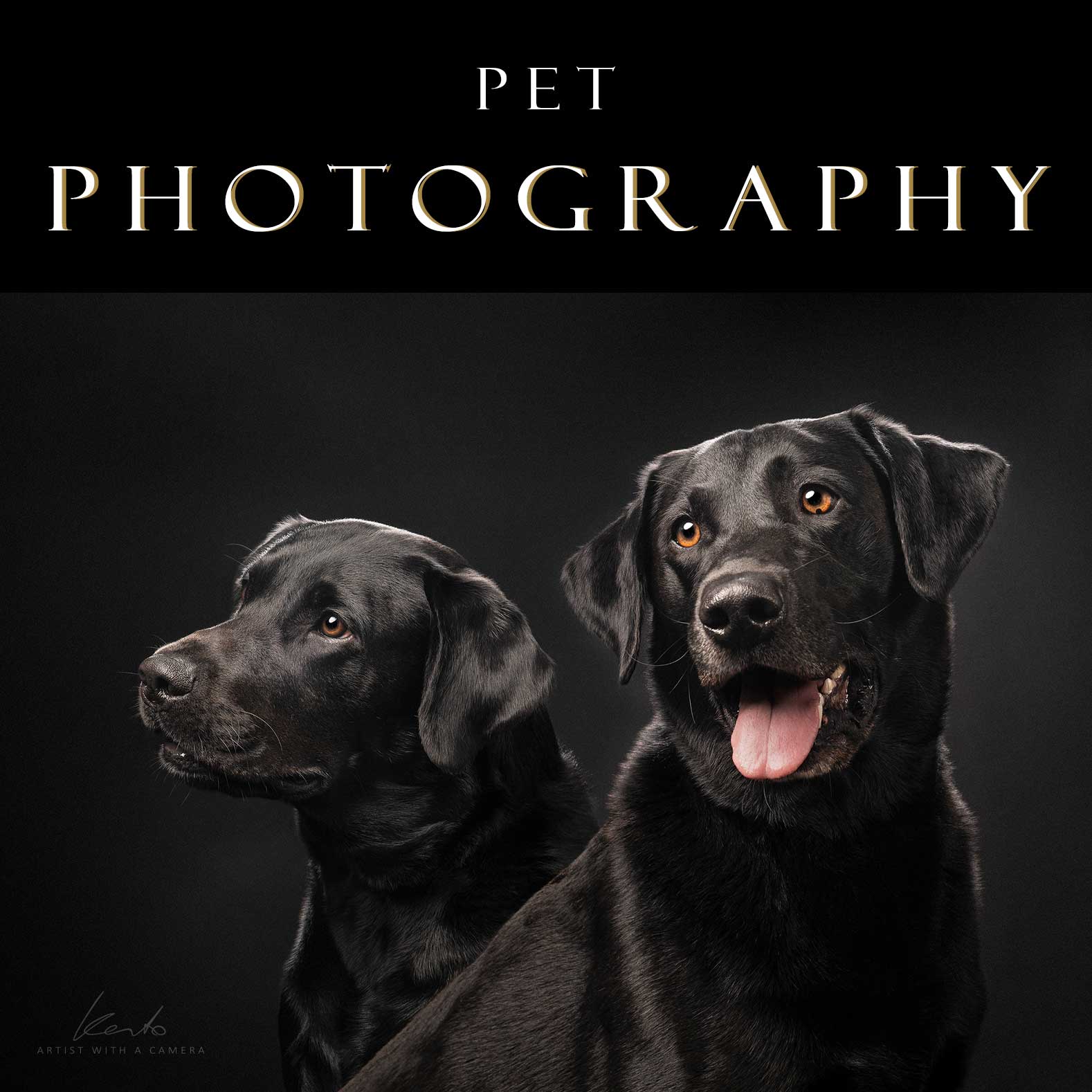 kerto-studio-pet-photography-2026